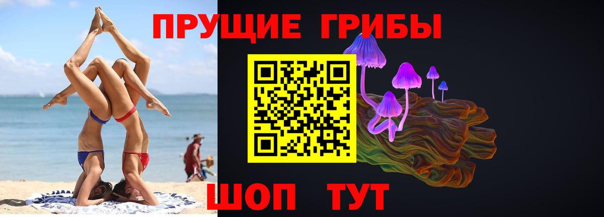 Галлюциногенные грибы Psilocybe Избербаш